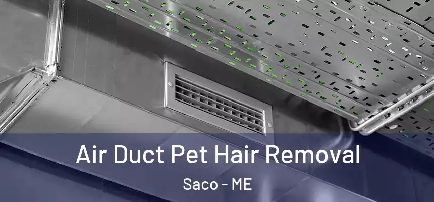  Air Duct Pet Hair Removal Saco - ME