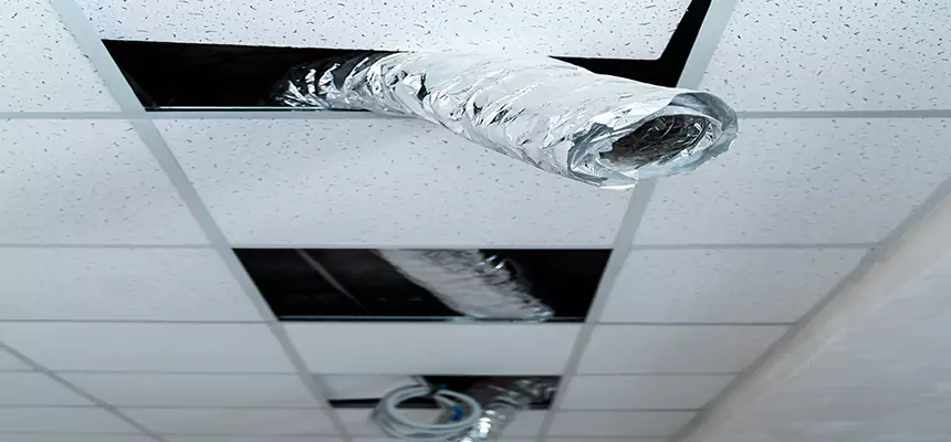 Our Air Duct Pet Hair Removal Services in Saco, ME