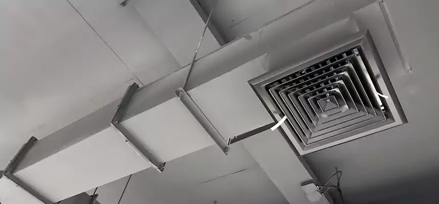 Our Rodent Droppings In Vents Services in Saco, ME