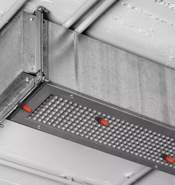 Affordable Insect Removal from Air Ducts in Saco, ME