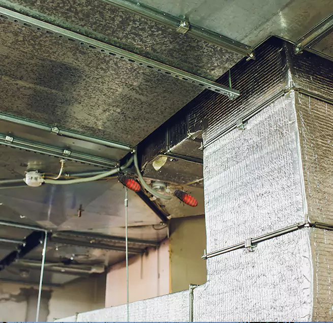 Why Homeowners & Businesses Trust Us in Saco, ME?