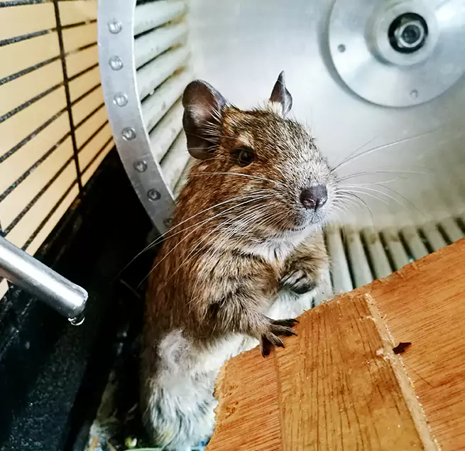 Why Homeowners & Businesses Trust Us Saco, ME